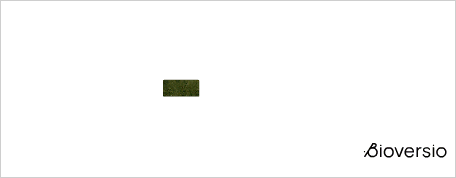 Bioversija m7 2025 04 25