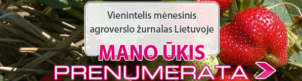 Pusmecio prenumerata A3 braskes 2026 06 08