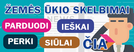 2025 03 31 Skelbkis m3