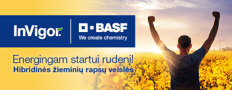 Basf m1 2025 06 19
