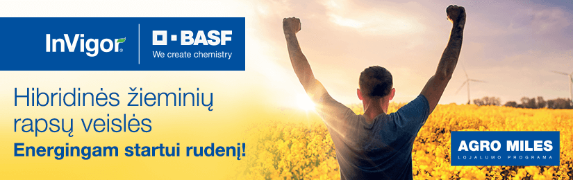 Basf 22 07 01