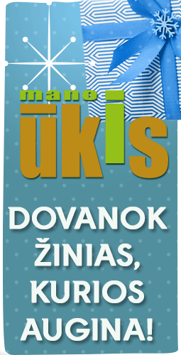 Prenumerata 2026 Jolita dešinė / Laimėk pašto dėžutę 2025 11 20 / dovana 2025 12 15