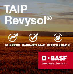 Basf A4 2026 04 22