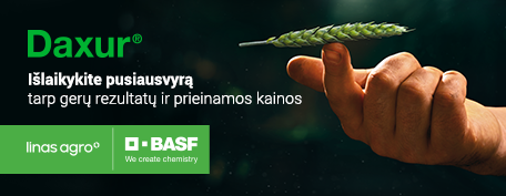 Basf m1 2025 04 17 / 04 23