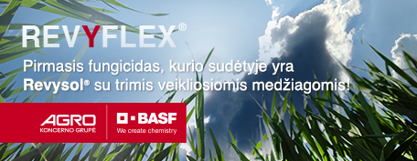 Basf m1 2025 04 17 / 04 23